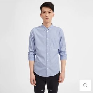 Everlane blue stripe oxford
